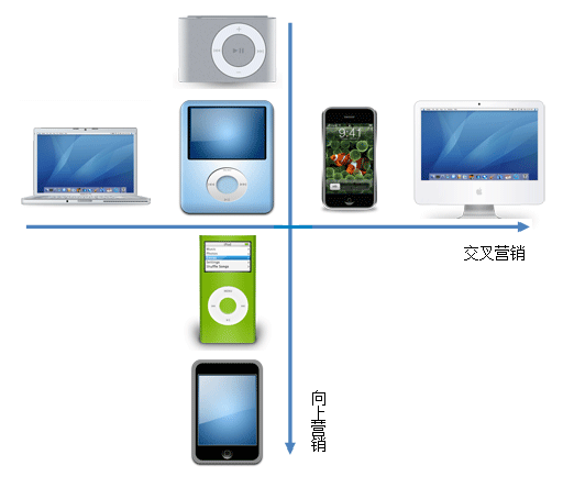 交叉营销